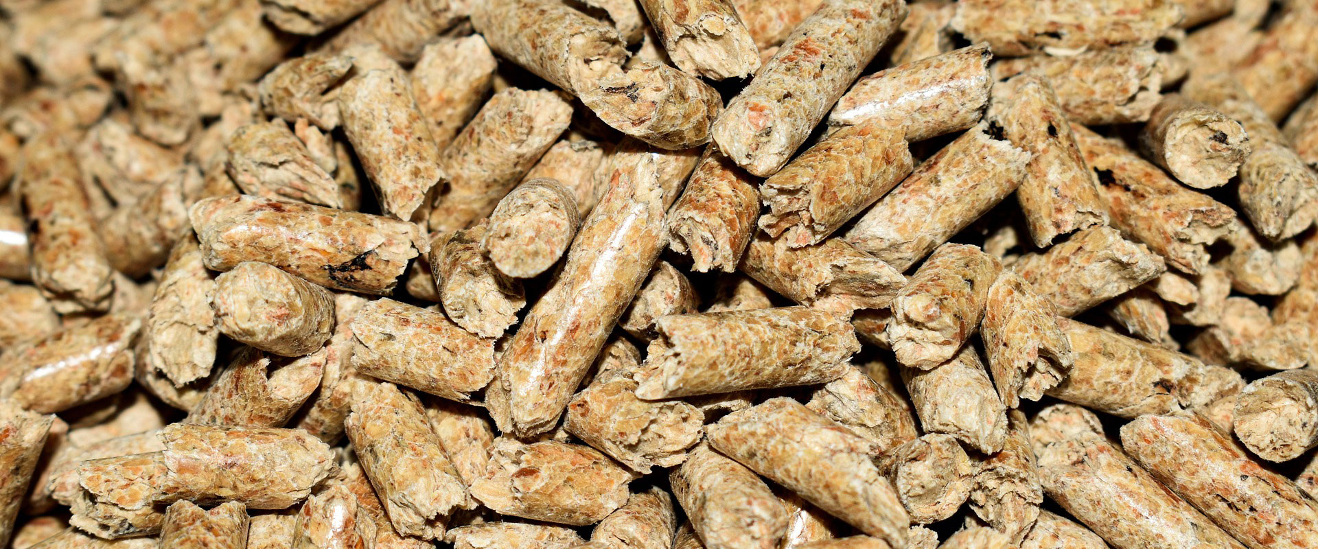 pellets-4844847_1920.jpg